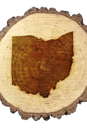 shape of ohio branded onto log